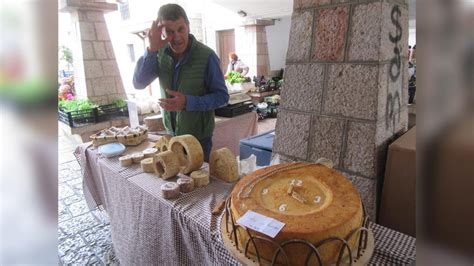 ¡El Gigantesco Festival de Queso con Quattro Formaggi! Una Celebración de Quesos y Música a Cargo del Fabuloso Artista Italiano Quintiliano!